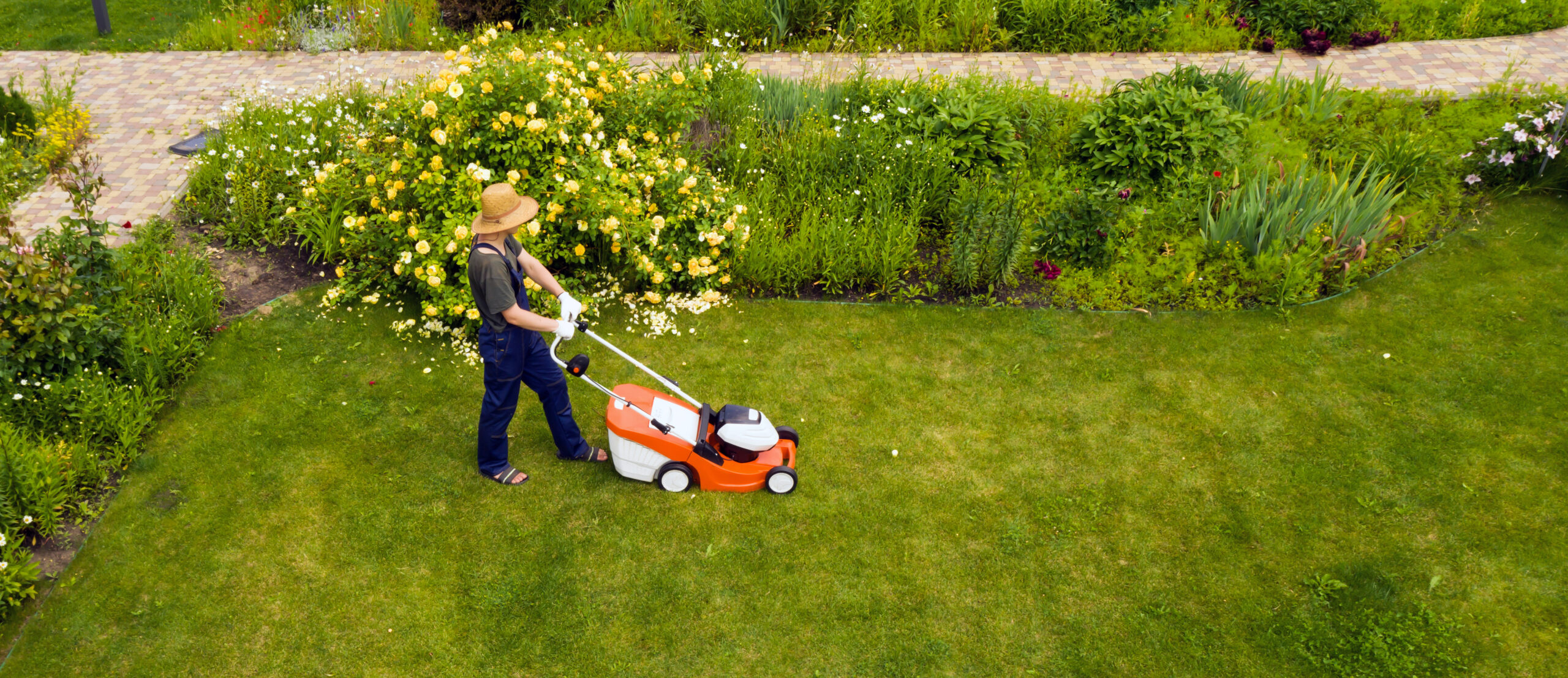 young man is mowing a lawn with a lawn mower in his green floral summer garden.
